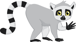 Illustration of a gray and white lemur with large yellow eyes and a distinct black and white ringed tail. The lemur is facing forward and appears to be in a standing position.